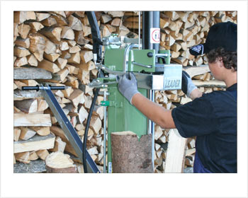 tipps holzspalter